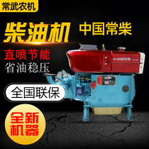 ZS1100 1105 Series diesel engine 15 horsepower single cylinder water cooled diesel engine China Changchai