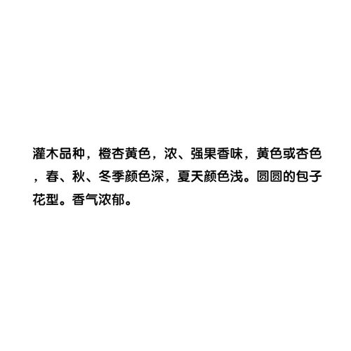 1995英国AustinJude the Obscure无名的裘德奥斯汀朱迪浓香大包花 - 图0