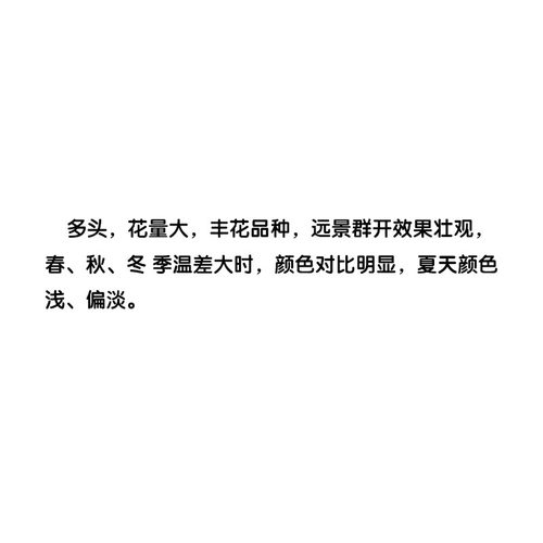 2011英国Bull's Eye公牛时尚别致巴比伦你的眼睛靶心多花耐寒热花 - 图0
