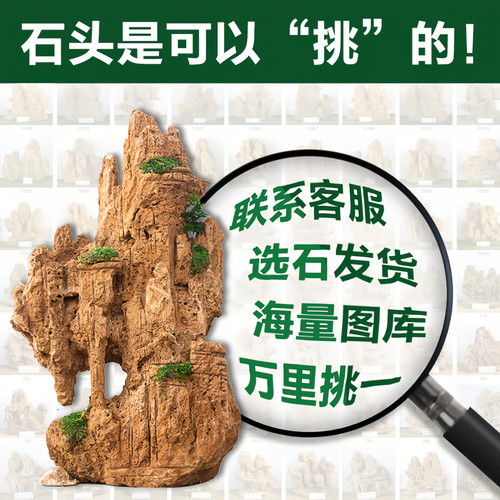 吸水石天然原石盆景鱼池鱼缸真石头装饰造景摆件植物上水石假山石 - 图1