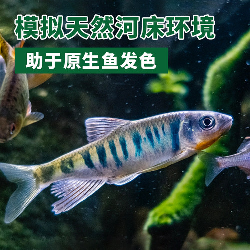 溪流石原生态鱼缸装饰底砂水族溪流缸铺底天然溪流砂造景溪流沙-图2