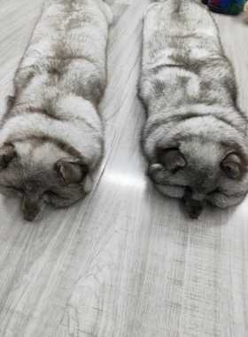 狐狸毛整张皮保暖御寒新款围巾