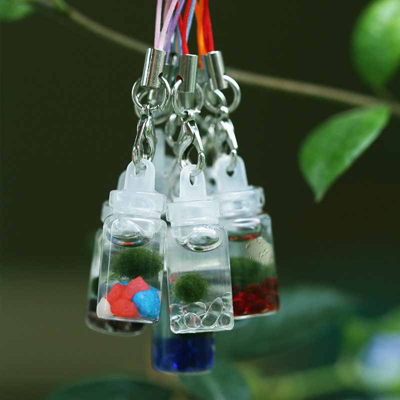 marimo海藻球生态瓶挂件饰品学生礼物绿植微景观创意迷你水生植物 - 图0
