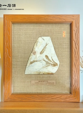 古生物狼鳍鱼客厅化石标本装饰画