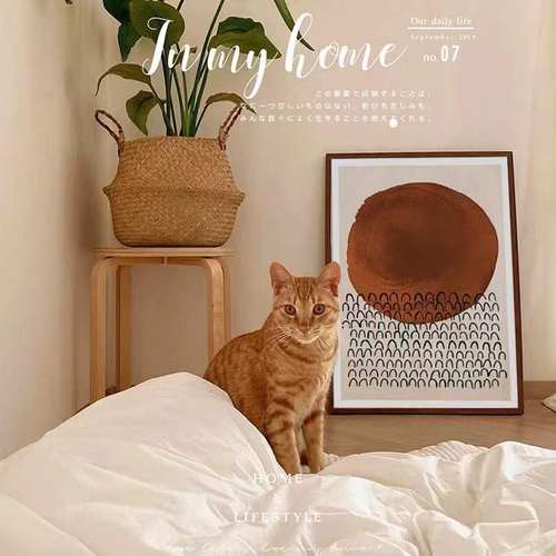 挂画ins风摆画海报家居装饰床头柜摆件抽象现代简约复古餐厅壁画 - 图0