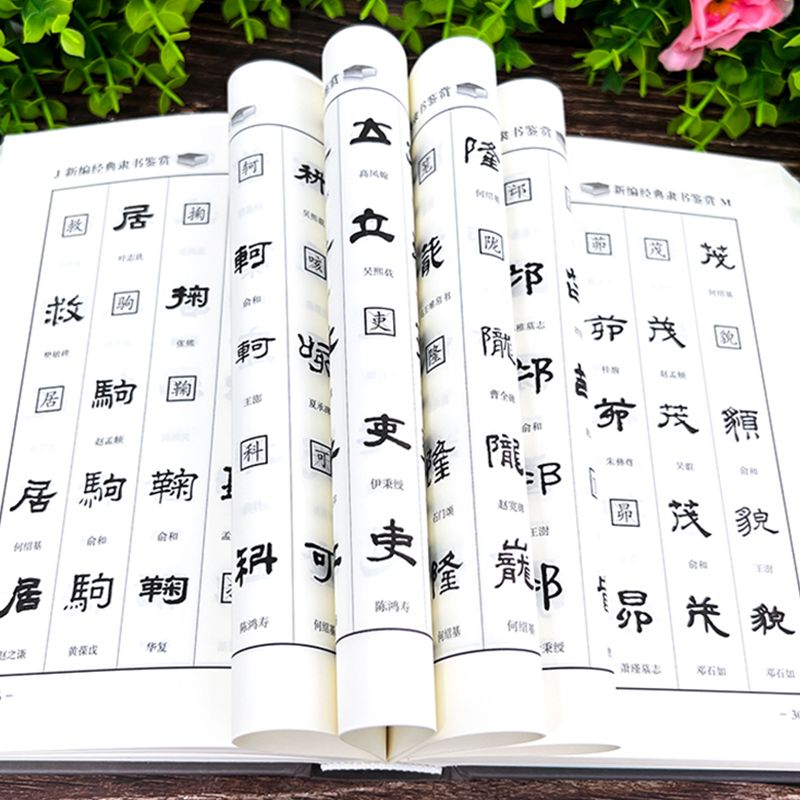 中国九大书法家真迹欣赏全集王羲之/赵孟頫/褚遂良/柳公权/颜真卿毛笔字帖临摹鉴赏兰亭序字帖行书字帖书法名帖名家书法作品书籍烦