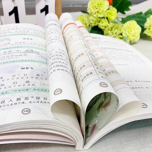 2025新版初中必背文学文化常识+文言文+古诗文+中考作文 专项译注与赏析初中生初一到初三7到9年级语文课外专项阅读练习全解全练 - 图2
