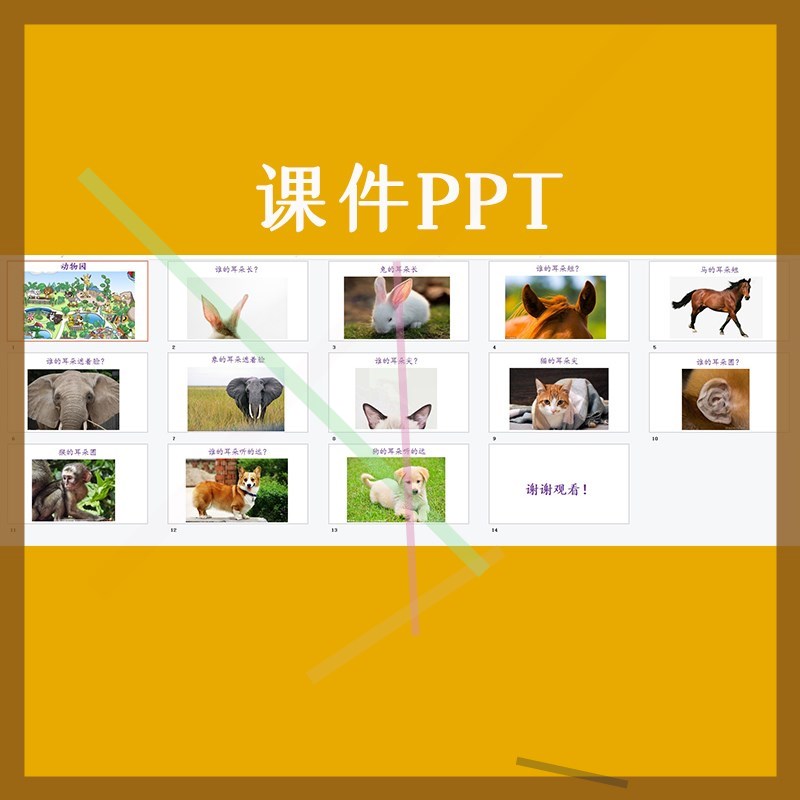 幼儿园优质公开小班语言儿歌活动《谁的耳朵》教案视频课件PPT