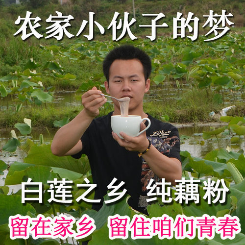 正宗莲藕粉500g农家手削片状纯藕粉手工无蔗糖无添加原味古法藕粉 - 图1