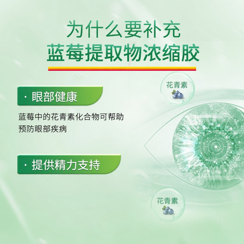Jamieson健美生蓝莓提取物浓缩护眼丸花青素胶囊蓝莓素片舒缓眼睛