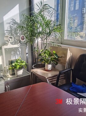 3M极景系列高透光双向透视隔热膜