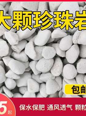 硬质大颗粒珍珠岩养花专用土白石子铺面石家用花卉通用种植营养土