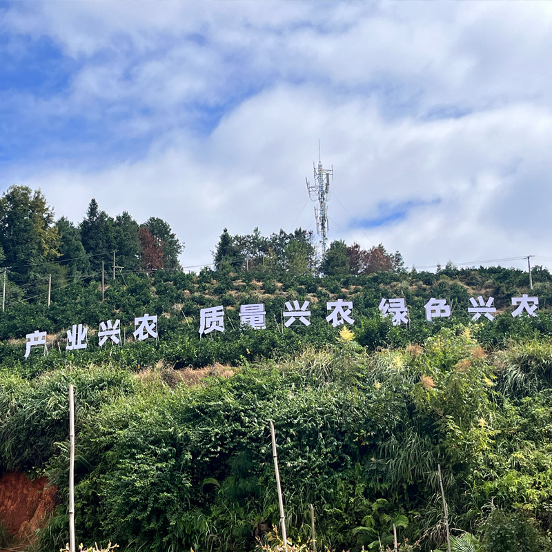 【顺丰德邦包邮赣南脐橙】买5斤送5斤当季水果新鲜采摘手剥的甜橙,淘宝优惠券,粉丝福利购,淘宝优惠卷