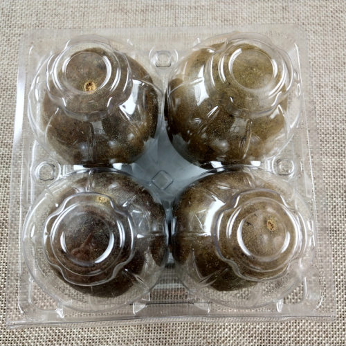 桂林特产新鲜罗汉果茶8个盒装特级大果散装干果罗汉果花茶搭金桔 - 图2