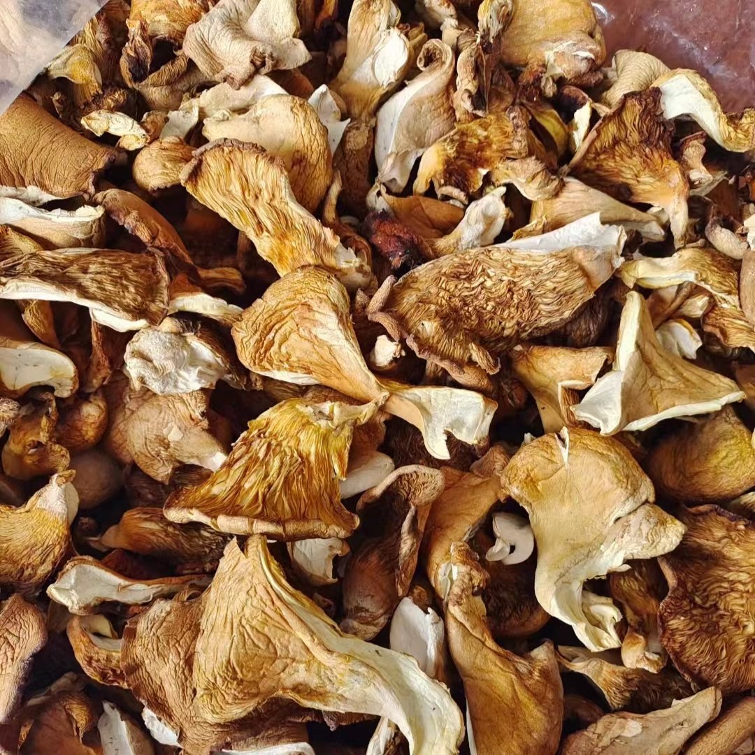 东北冻蘑元蘑干货无根肉厚小鸡炖蘑菇500克包邮二斤减五元,淘宝优惠券,粉丝福利购,淘宝优惠卷