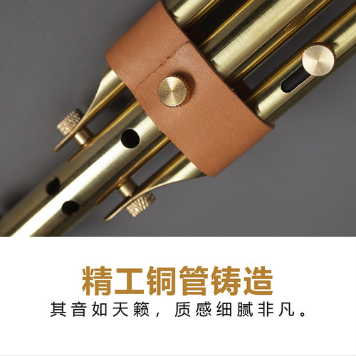 云南毕格宝葫芦丝乐器空谷幽兰C调降BDGFAE调初学成人专业演奏型 - 图2