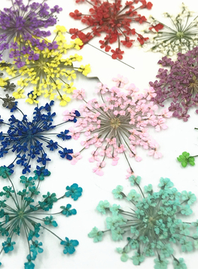 雪珠花蕾丝花滴胶干花手机壳diy