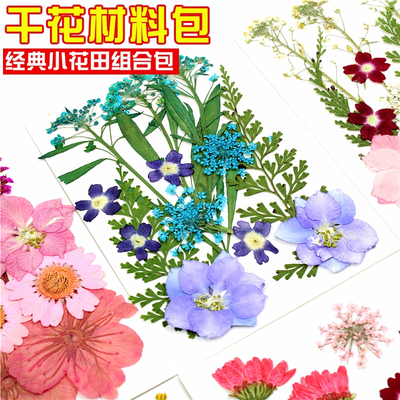 树叶粘贴画幼儿园手工真树叶标本压花干花押花材料包创意书签-图1