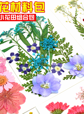 粘贴画幼儿园手工真树叶押花