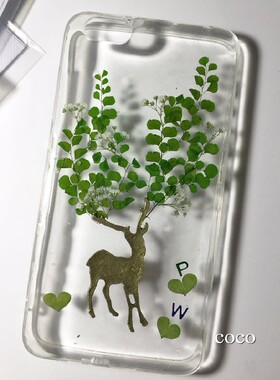 铁线蕨干花diy天然手机壳diy
