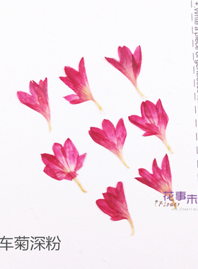 矢车菊diy滴胶干花手机植物标本