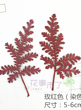 青蒿蒿叶干花材料diy植物标本