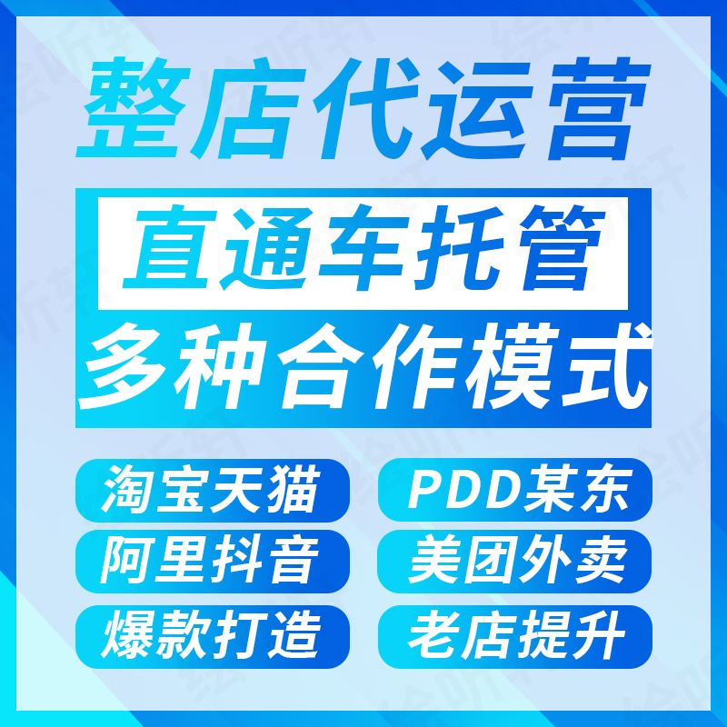 淘宝网店c店拼pdd代运营多多店铺整店托管销量直通车新店天猫京东 - 图0