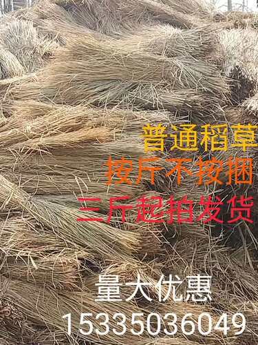 农家乐 屋顶装饰 稻草 摄影装饰手工 稻草垛 保温稻草帘 大棚草席 - 图1