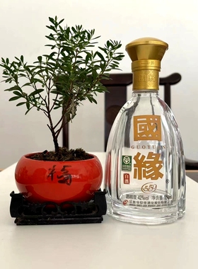 金世国缘V3空酒瓶摆件装饰酒柜烟酒店摆放成列用品