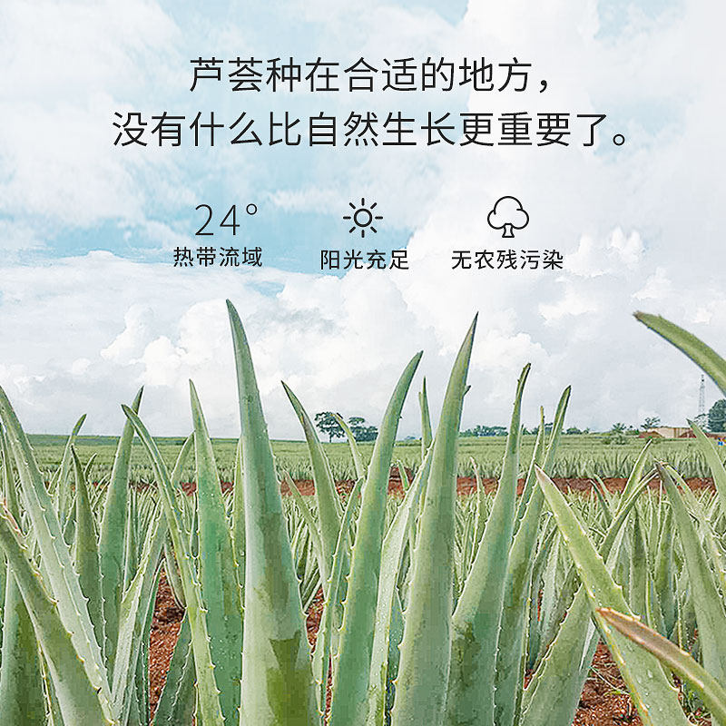 【3支】赛维补水舒缓祛痘官网芦荟胶 sav乳液/面霜