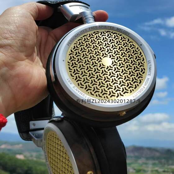 收藏品hd800s发烧万元级定制头戴式耳机HiFi插线other/其他见详情