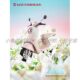 Tailing Fanhua complete car shell accessories collection