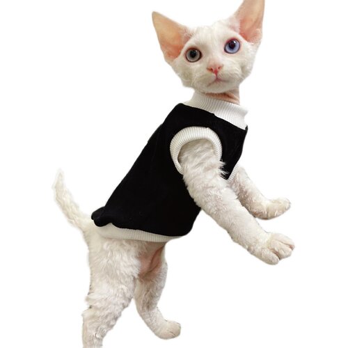奶油是只无毛猫斯芬克斯德文宠物猫咪衣服纯棉无毛猫背心弹力包邮 - 图3