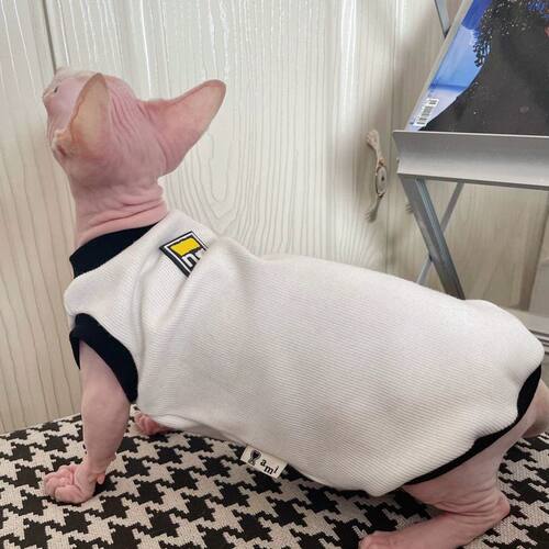 奶油是只无毛猫斯芬克斯德文宠物猫咪衣服纯棉无毛猫背心弹力包邮 - 图2