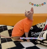 Крем -это безволосочный сафаксор, кошка зимой, мягкое бархатное высокое эластичное дно, основание, теплая бесплатная доставка