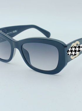 丽佰臣5493太阳眼镜防晒防紫外线