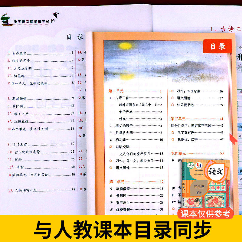 五年级下册语文同步字帖人教版 小学5下学期练字帖每日一练部编版 小学生专用练习册写字课课练专项控笔训练写字帖钢笔临摹