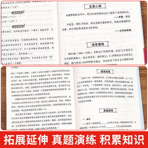 全套7册小学六年级课外书必读童年书高尔基经典书目上下册正版原著小英雄雨来爱的教育爱丽丝漫游奇境快乐读书吧老师推荐书籍五-图3