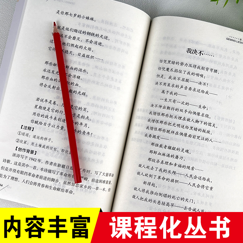 革命烈士诗抄中国现当代诗歌红色经典书籍老师推荐爱国主义教育课外书必读青少年读物三四五六七八年级小学生中学生课外阅读书籍-图0