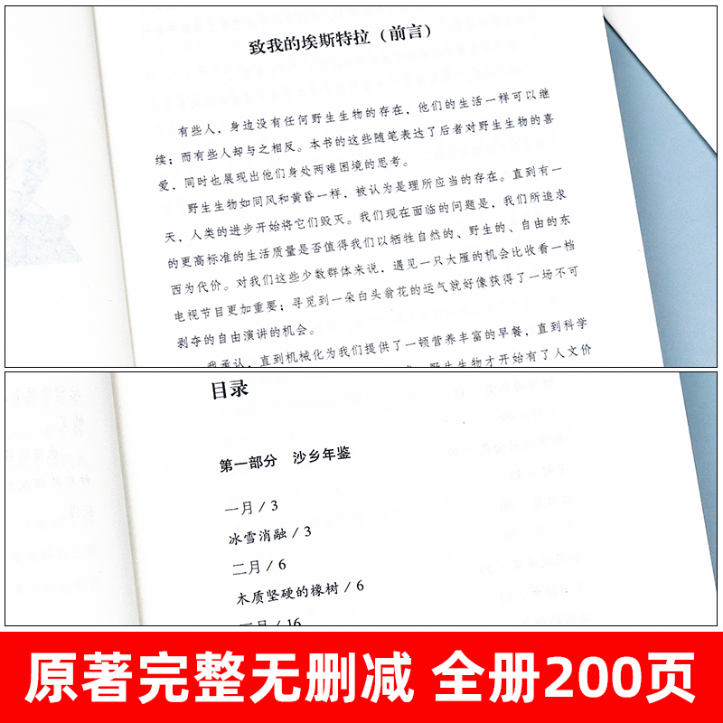 沙乡年鉴奥尔多·利奥波德初二下册必读课外阅读书籍八年级的课外书老师推荐经典世界名著书目外国现当代文学适合初中生环境环保书 - 图0