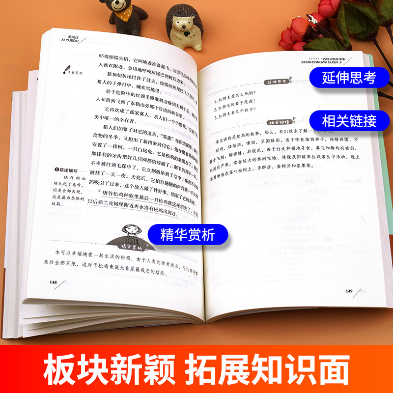 西顿动物故事集西顿动物记西顿野生动物故事集动物小说全集三四五六年级课外书必读小学生课外阅读书籍儿童书籍文学读物故事书-图2