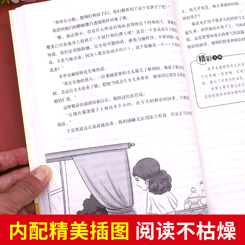 简爱书籍正版原著儒林外史九年级必读课外阅读书籍 初三下册必读名著人教版简爱和儒林外史人民教育出版社文学书目白话文版吴敬梓 - 图2