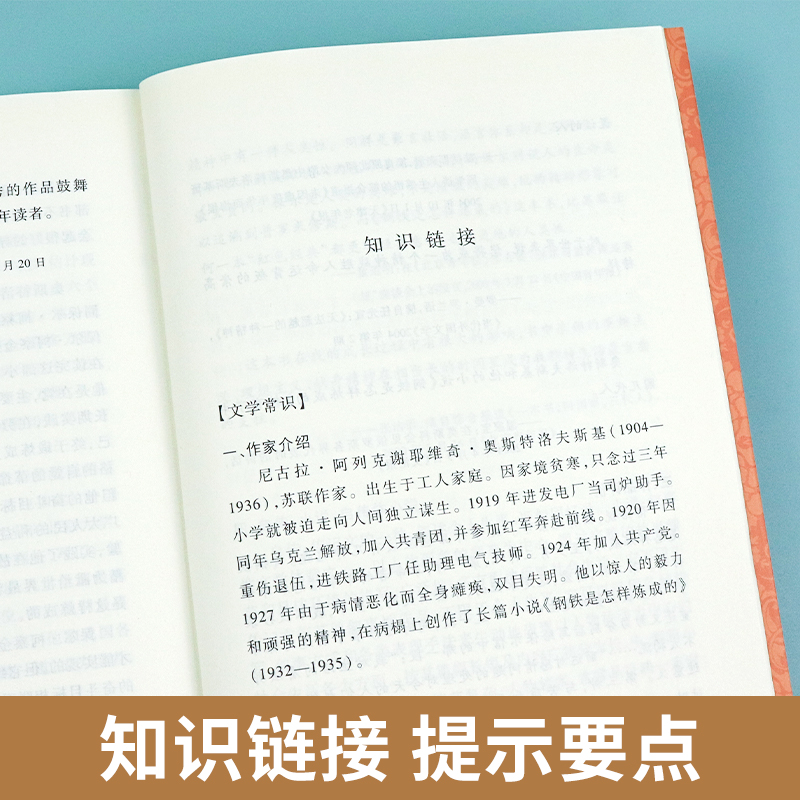 钢铁是怎样炼成的 初中正版原著人民文学出版社八年级下册初二初中生必读课外阅读书籍语文人教版8年级外国经典文学世界名著无删减 - 图2