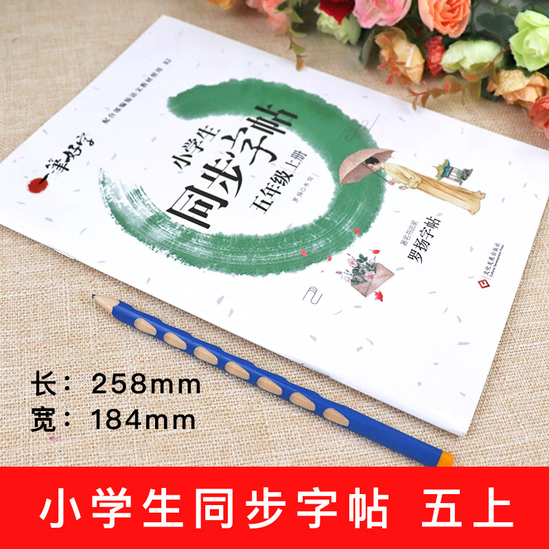 一笔好字 五年级上册字帖人教版同步课本生字硬笔书法练习汉字 罗杨描红本笔画笔顺练字帖 小学生5年级控笔训练写字帖儿童每日一练