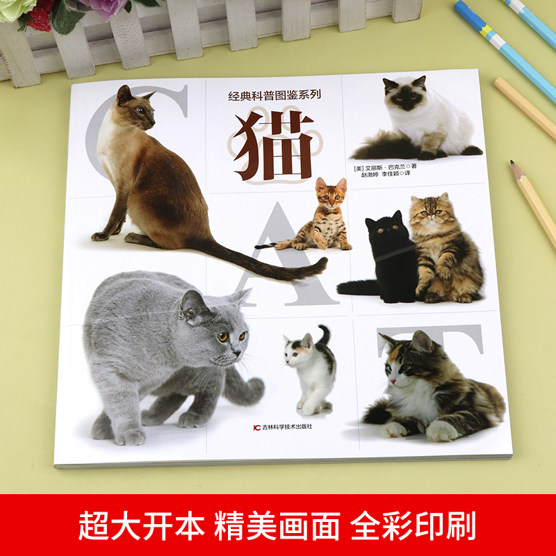 经典科普图鉴系列—猫 爱猫人士的观赏性书籍科普绘本动物百科全书大全趣味阅读6-12岁儿童小学生 关于猫的书猫咪动物知识自然图鉴 - 图0