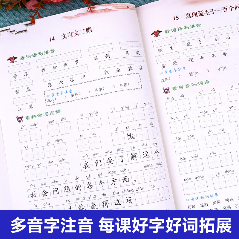 看拼音写词语五年级下册人教版 乐学熊小学5年级下学期语文同步专项练习册 小学生练字帖训练生字注音默写能手部编版