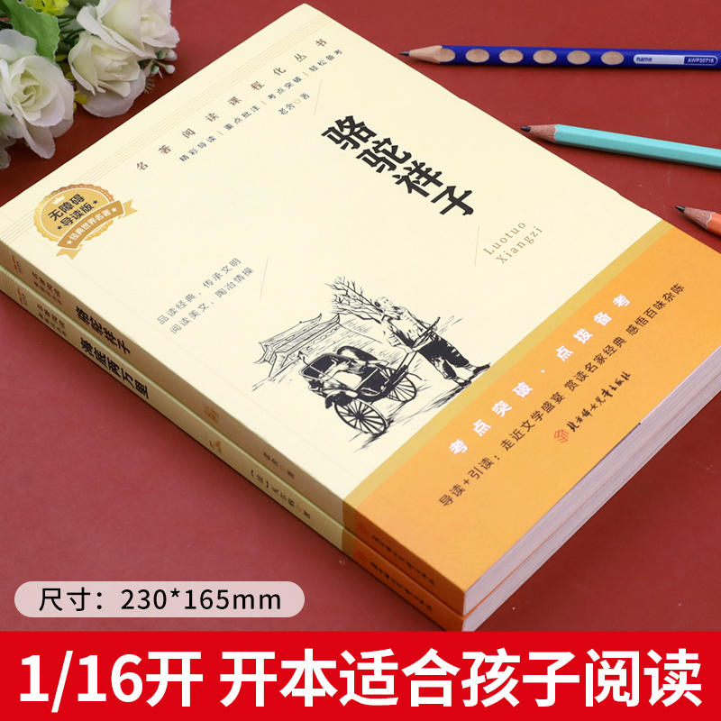 骆驼祥子和海底两万里正版书原著七年级必读课外书初一下册必读课外阅读书籍人教版文学名著骆驼祥子原著正版老舍人民教育出版社-图0