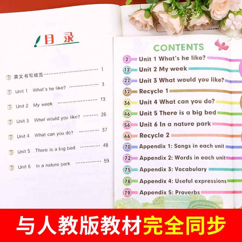 五年级上册英语同步练字帖人教版pep 小学5年级上学期英语单词练习字帖同步训练课本教材字母描红临摹书写字帖课课练 五上小学生