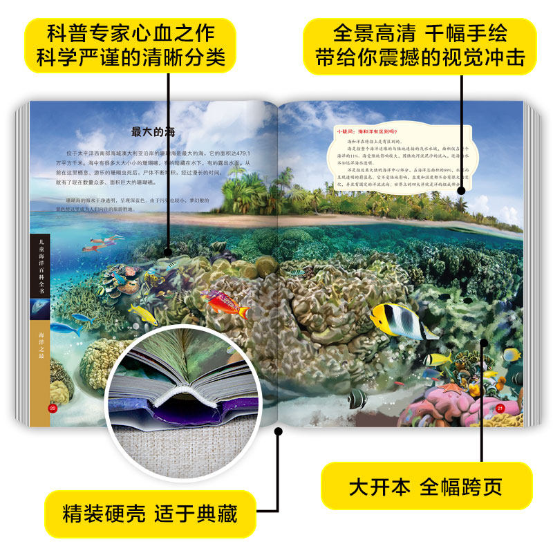 海洋