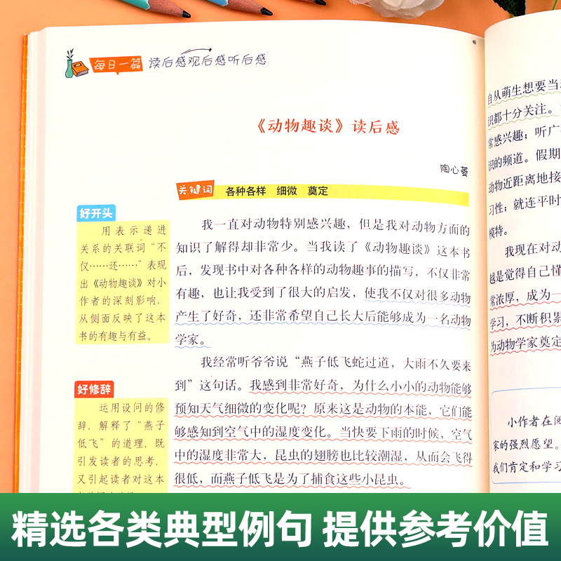 小学生读后感大全 观后感听后感一本全三四五六年级作文书写作素材1-6年级作文辅导书人教版分类写作技巧优秀作文精选语文专项积累 - 图2